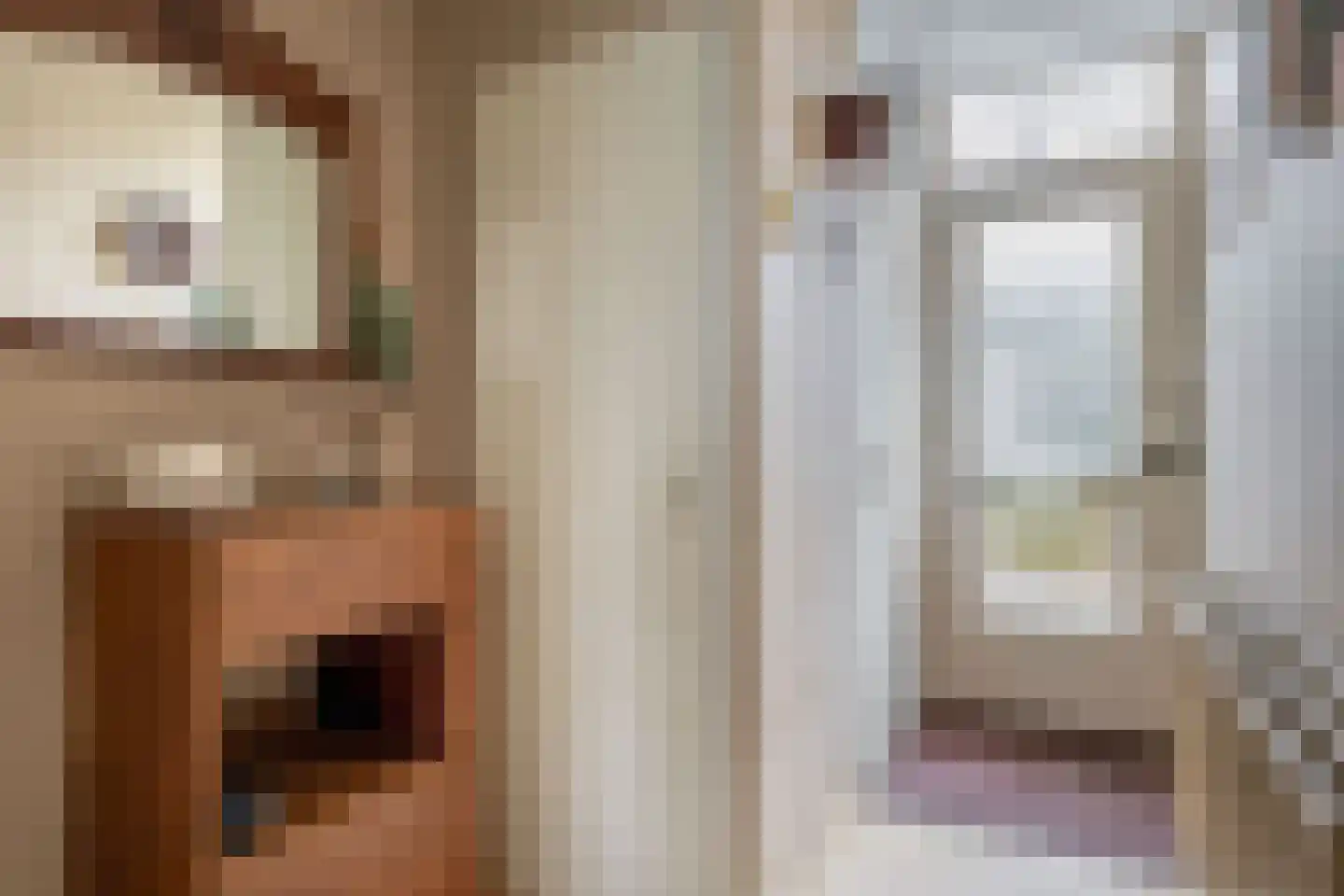 Van der Heijdenstraat 61 Schoonhoven thumbnail 6