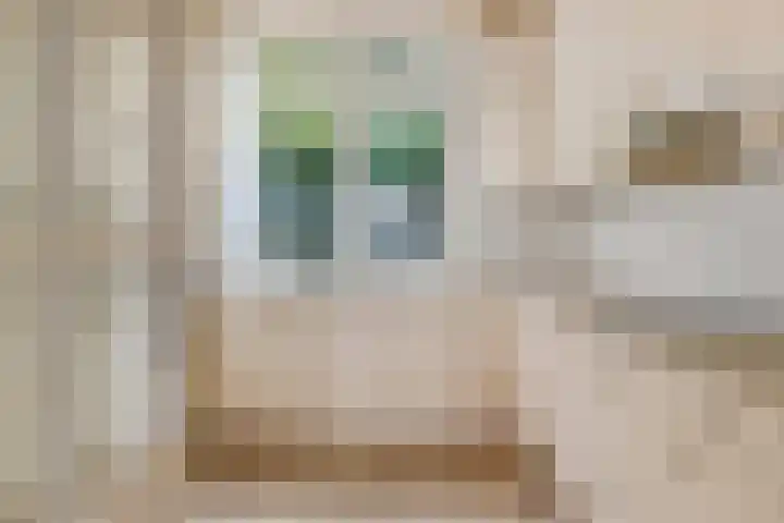 Van der Heijdenstraat 65 Schoonhoven thumbnail 13