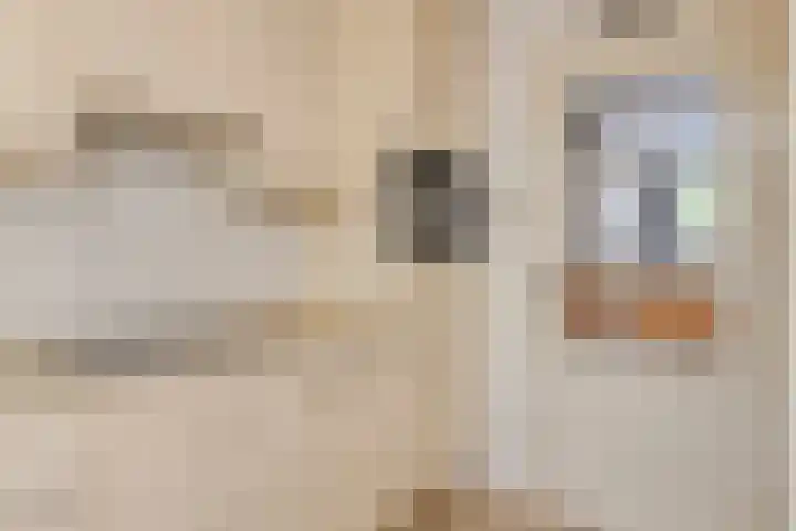 Van der Heijdenstraat 65 Schoonhoven thumbnail 15