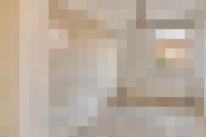 Van der Heijdenstraat 65 Schoonhoven thumbnail 18