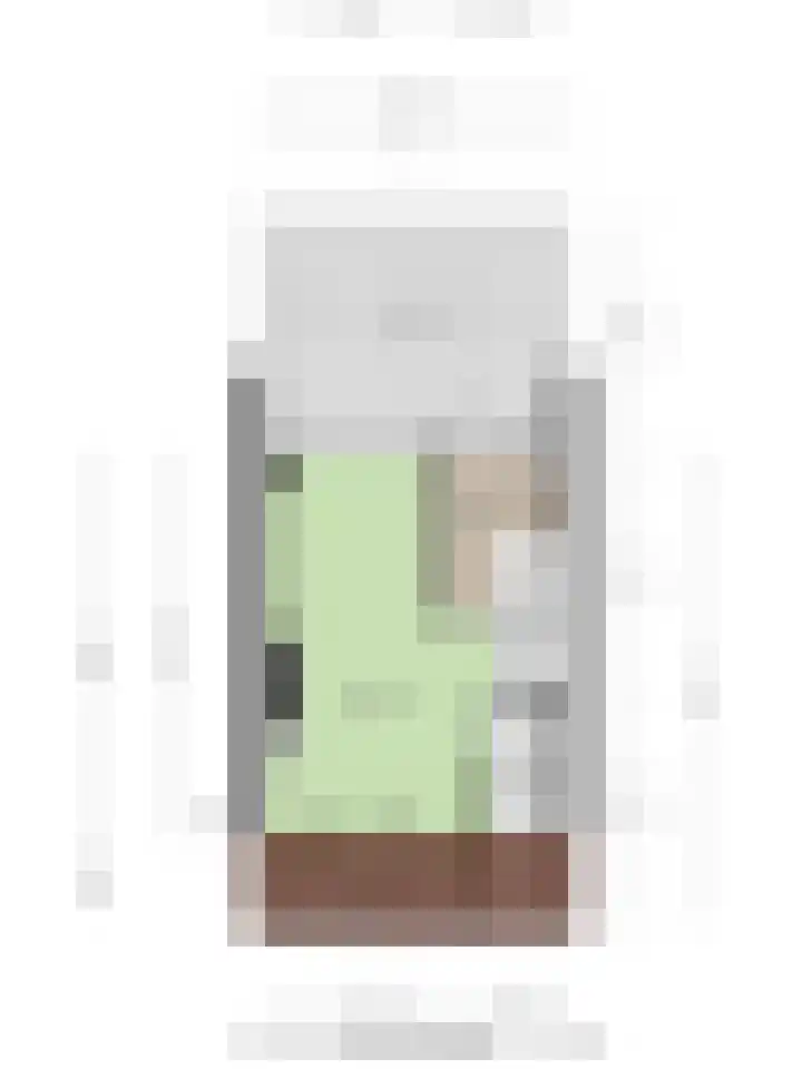 Van der Heijdenstraat 65 Schoonhoven thumbnail 33