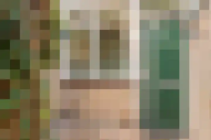 Van der Heijdenstraat 65 Schoonhoven thumbnail 4