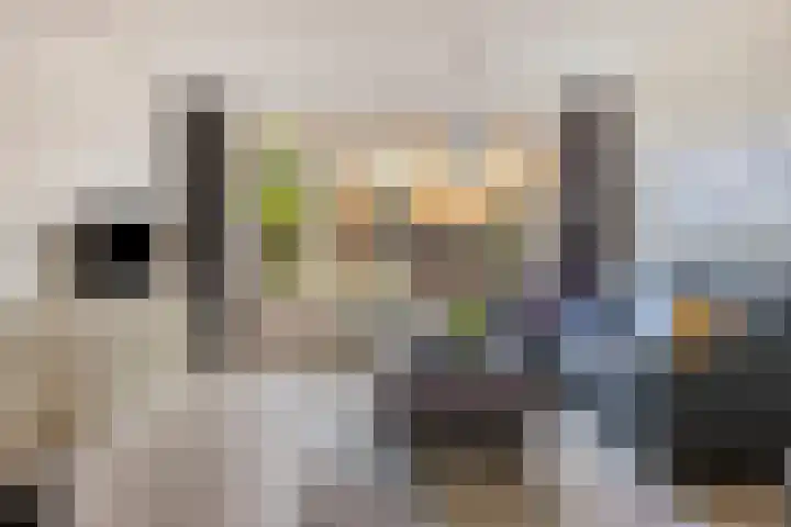 Van der Heijdenstraat 65 Schoonhoven thumbnail 9