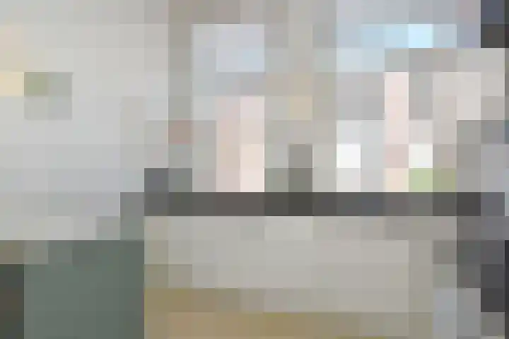 Van der Heimstraat 16 Den Haag thumbnail 20