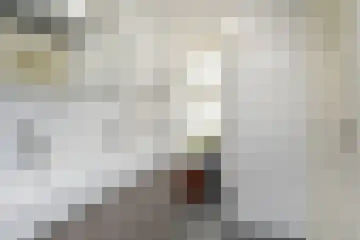 Van der Heimstraat 16 Den Haag thumbnail 32