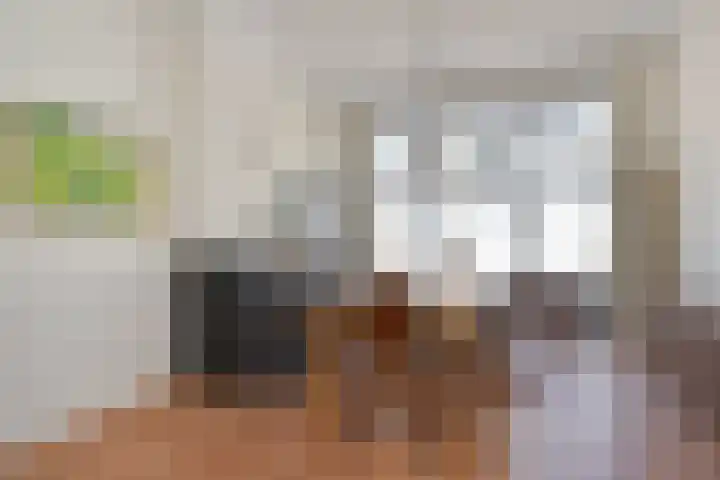 Van der Heimstraat 16 Den Haag thumbnail 5