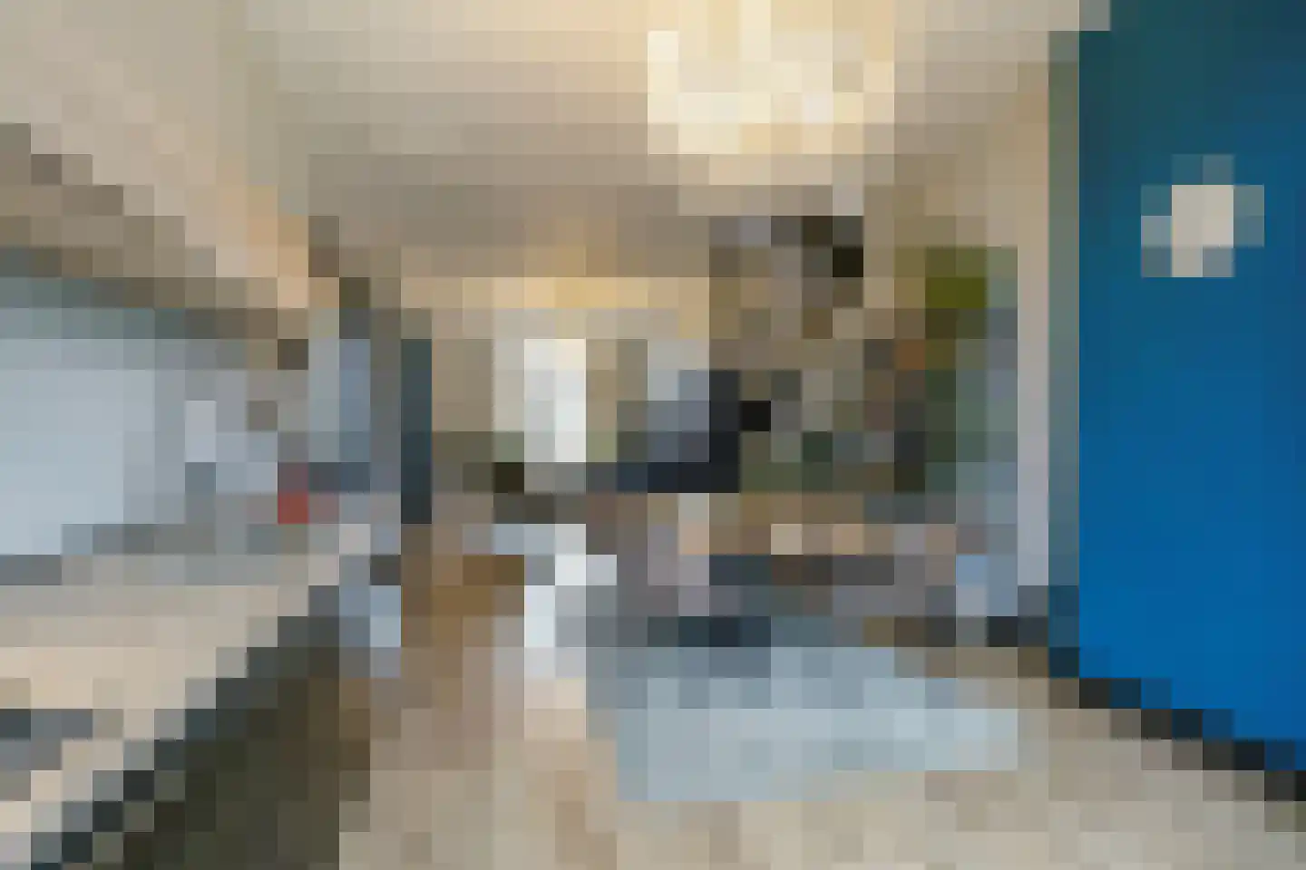 Van der Heimstraat 72 A Den Haag thumbnail 22