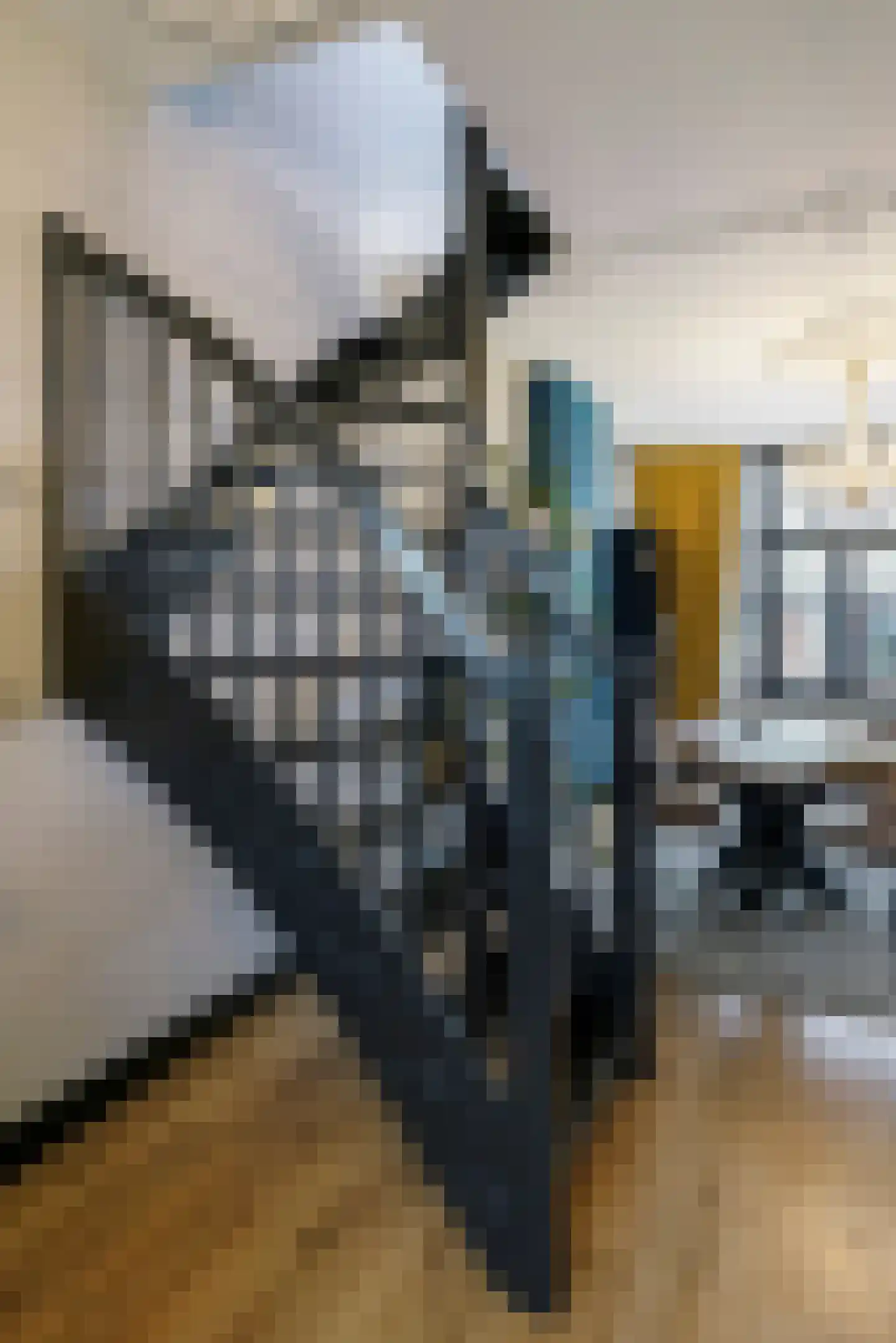 Van der Heimstraat 72 A Den Haag thumbnail 9