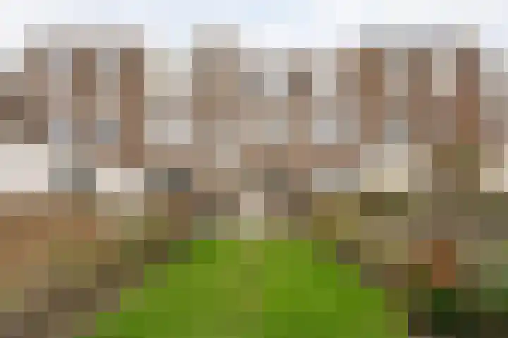 Van der Heimstraat 9 Den Haag thumbnail 16