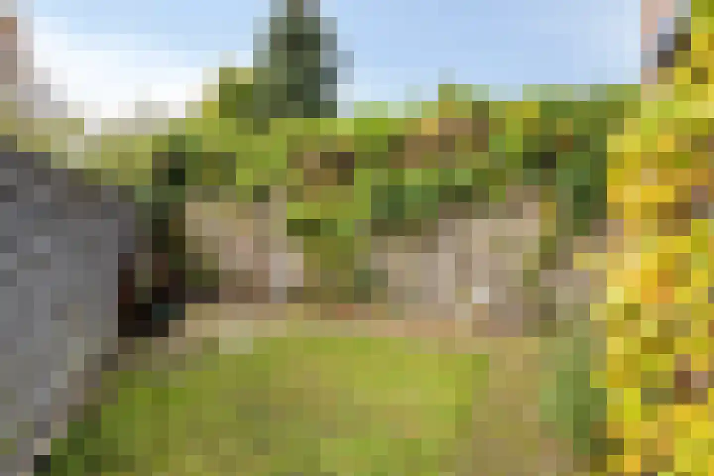 Van der Helllaan 1 Arnhem thumbnail 26
