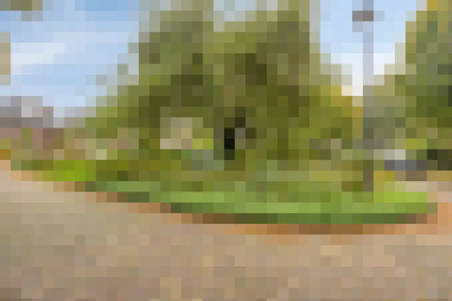 Van der Helllaan 1 Arnhem thumbnail 30