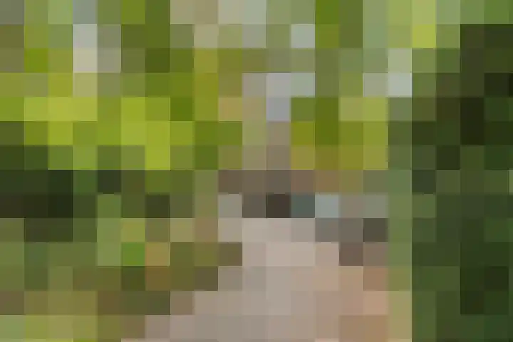 Van der Helllaan 20 Arnhem thumbnail 13