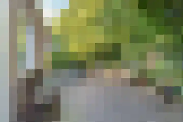 Van der Helllaan 20 Arnhem thumbnail 9