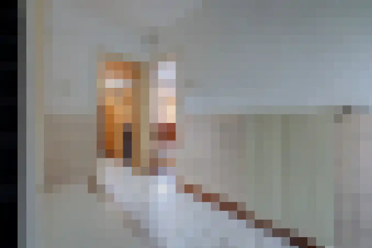 Van der Helmstraat 12 Rotterdam thumbnail 21