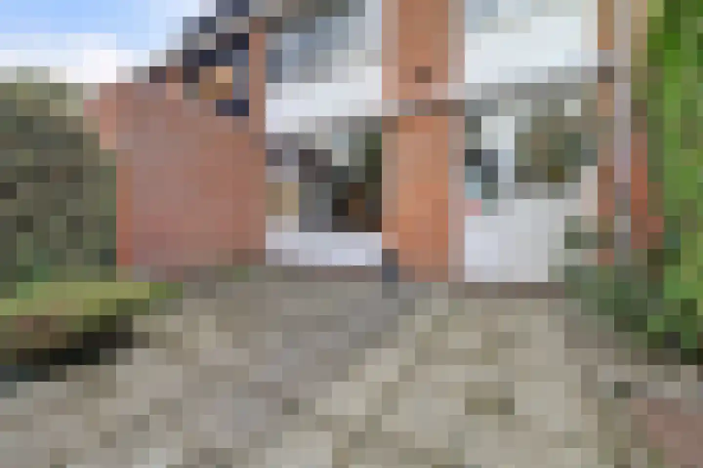 Van der Helmstraat 12 Rotterdam thumbnail 49