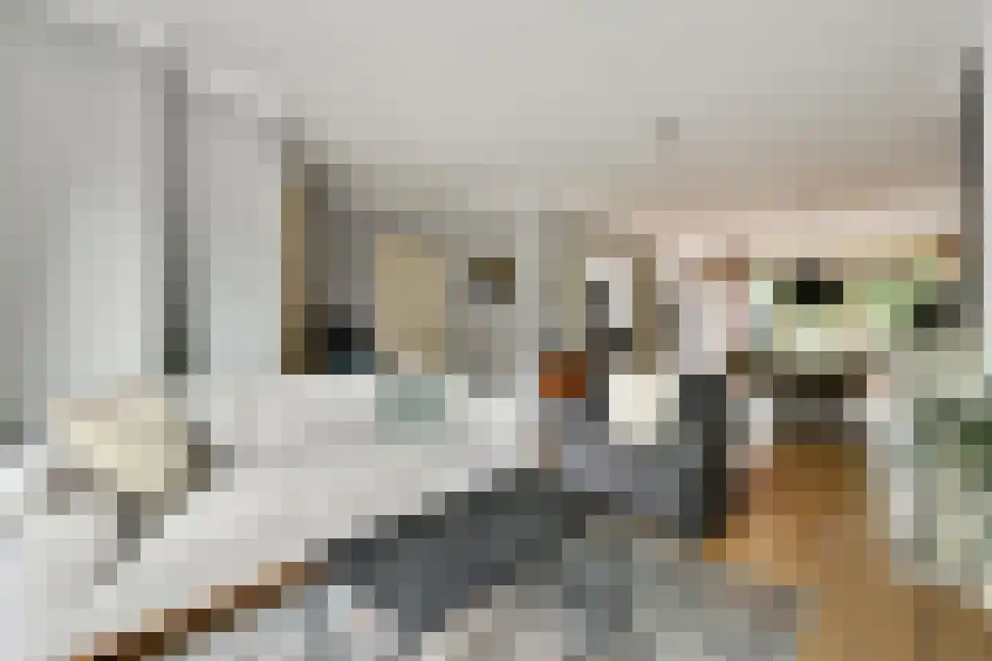 Van der Helmstraat 241 Rotterdam thumbnail 13