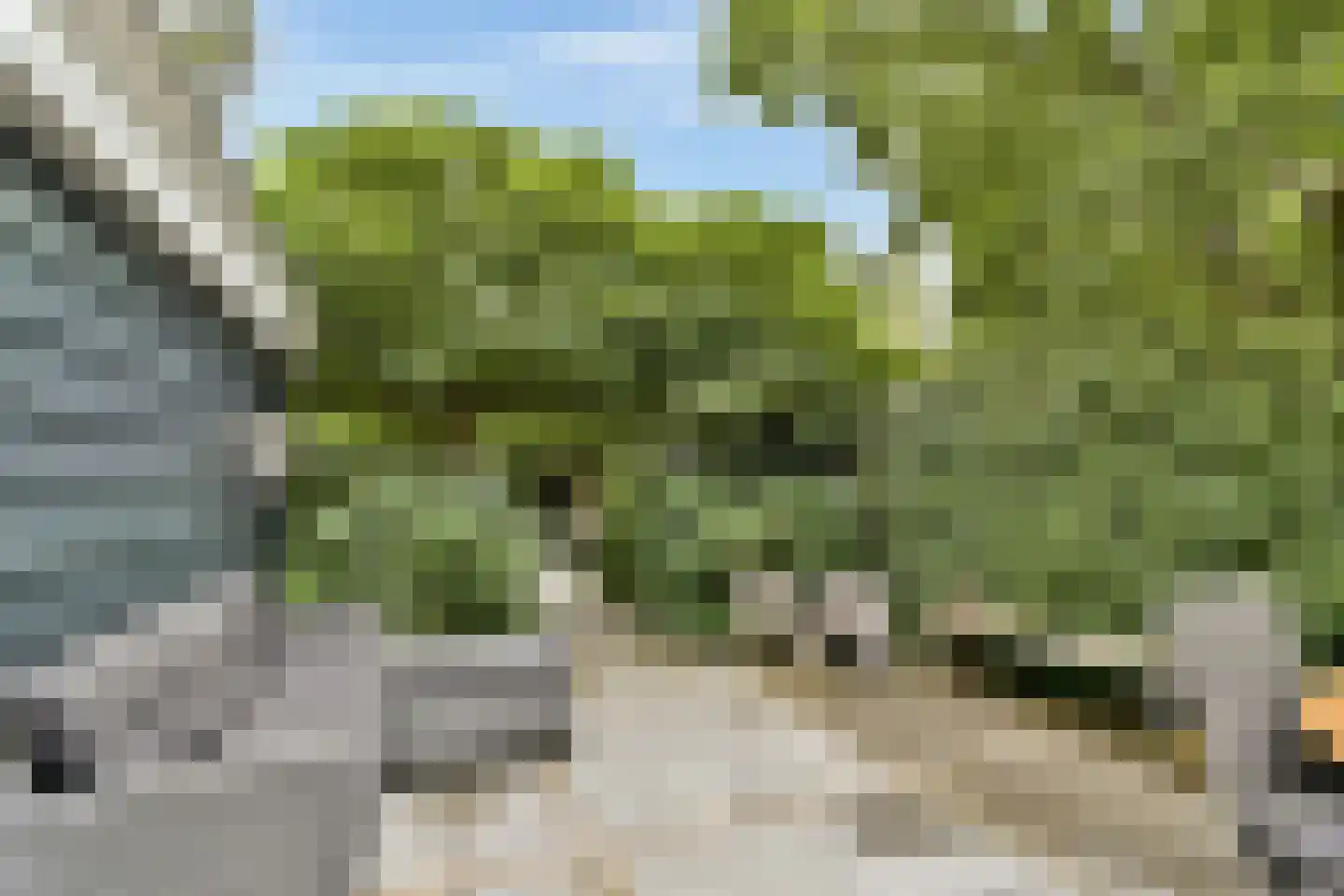 Van der Helmstraat 241 Rotterdam thumbnail 22