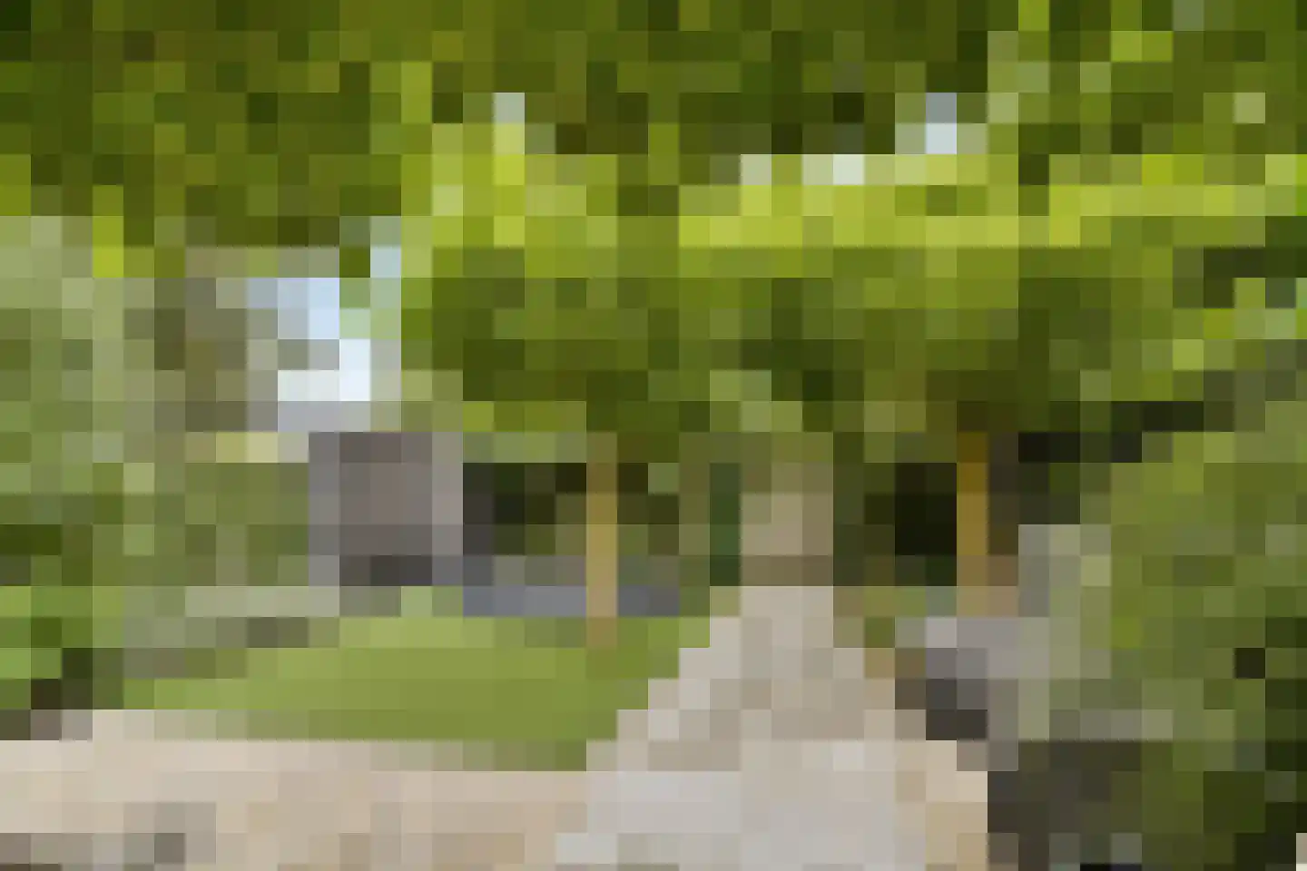 Van der Helmstraat 241 Rotterdam thumbnail 36