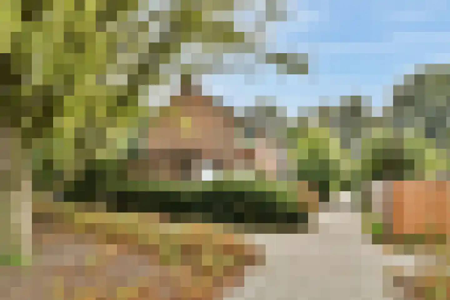 Van der Helmstraat 241 Rotterdam thumbnail 39