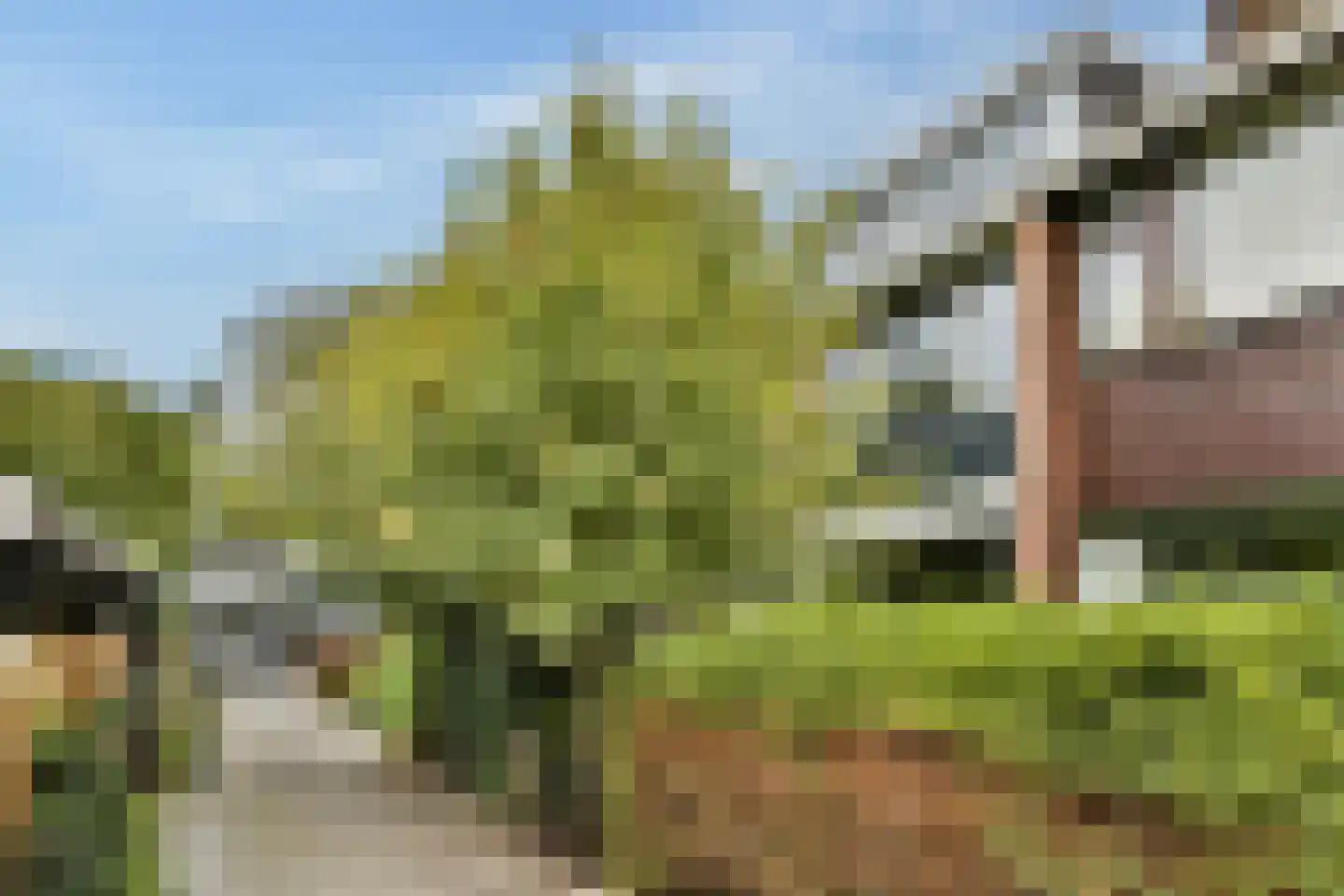 Van der Helmstraat 241 Rotterdam thumbnail 40
