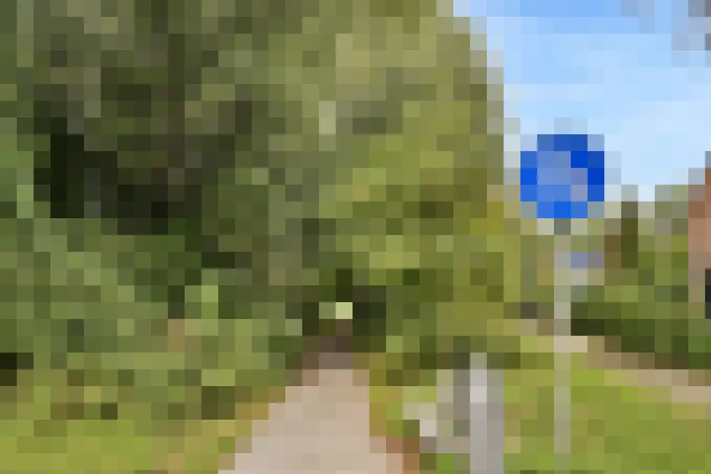 Van der Helmstraat 241 Rotterdam thumbnail 41