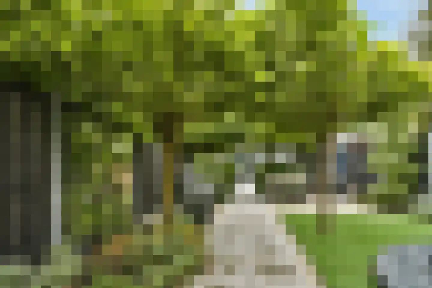 Van der Helmstraat 241 Rotterdam thumbnail 5