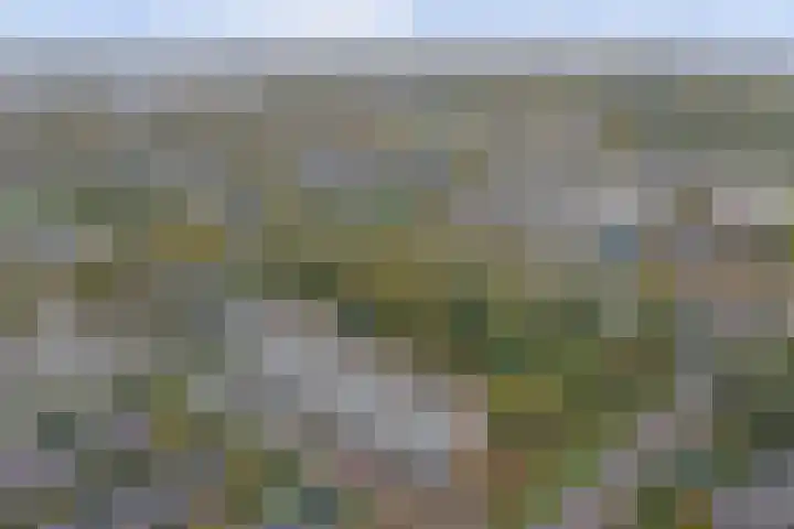 Van der Helmstraat 255 Rotterdam thumbnail 22