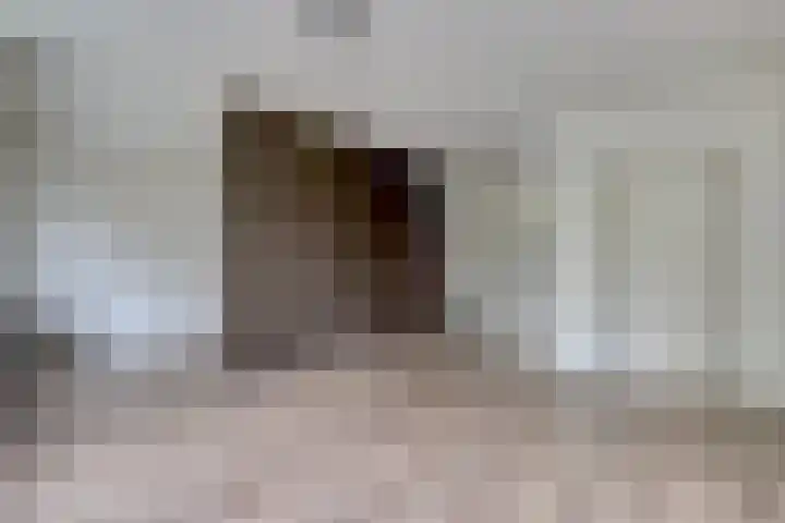 Van der Helmstraat 255 Rotterdam thumbnail 7