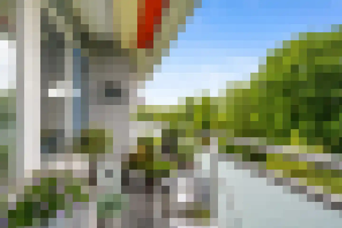 Van der Helmstraat 297 Rotterdam thumbnail 12