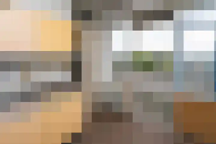 Van der Helmstraat 313 Rotterdam thumbnail 12