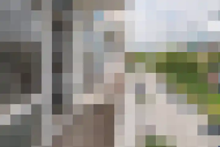 Van der Helmstraat 347 Rotterdam thumbnail 21