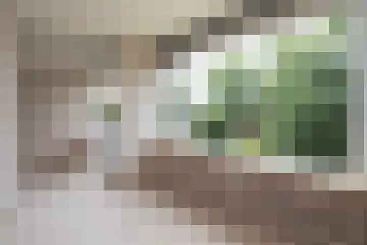 Van der Helmstraat 347 Rotterdam thumbnail 4