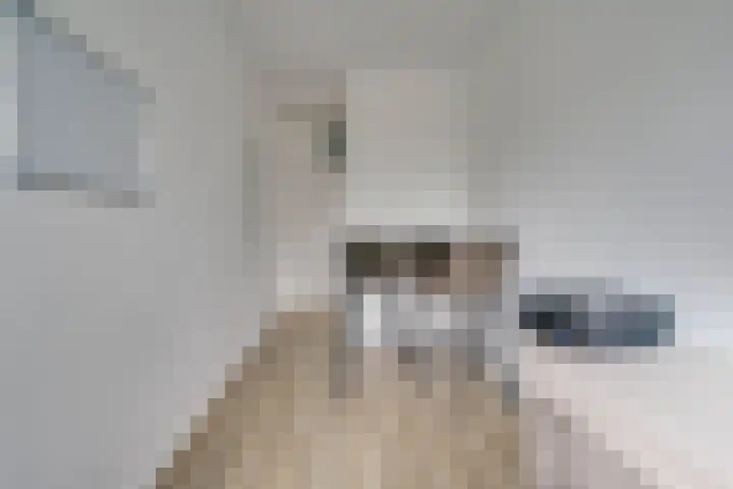 Van der Helmstraat 368 Rotterdam thumbnail 16