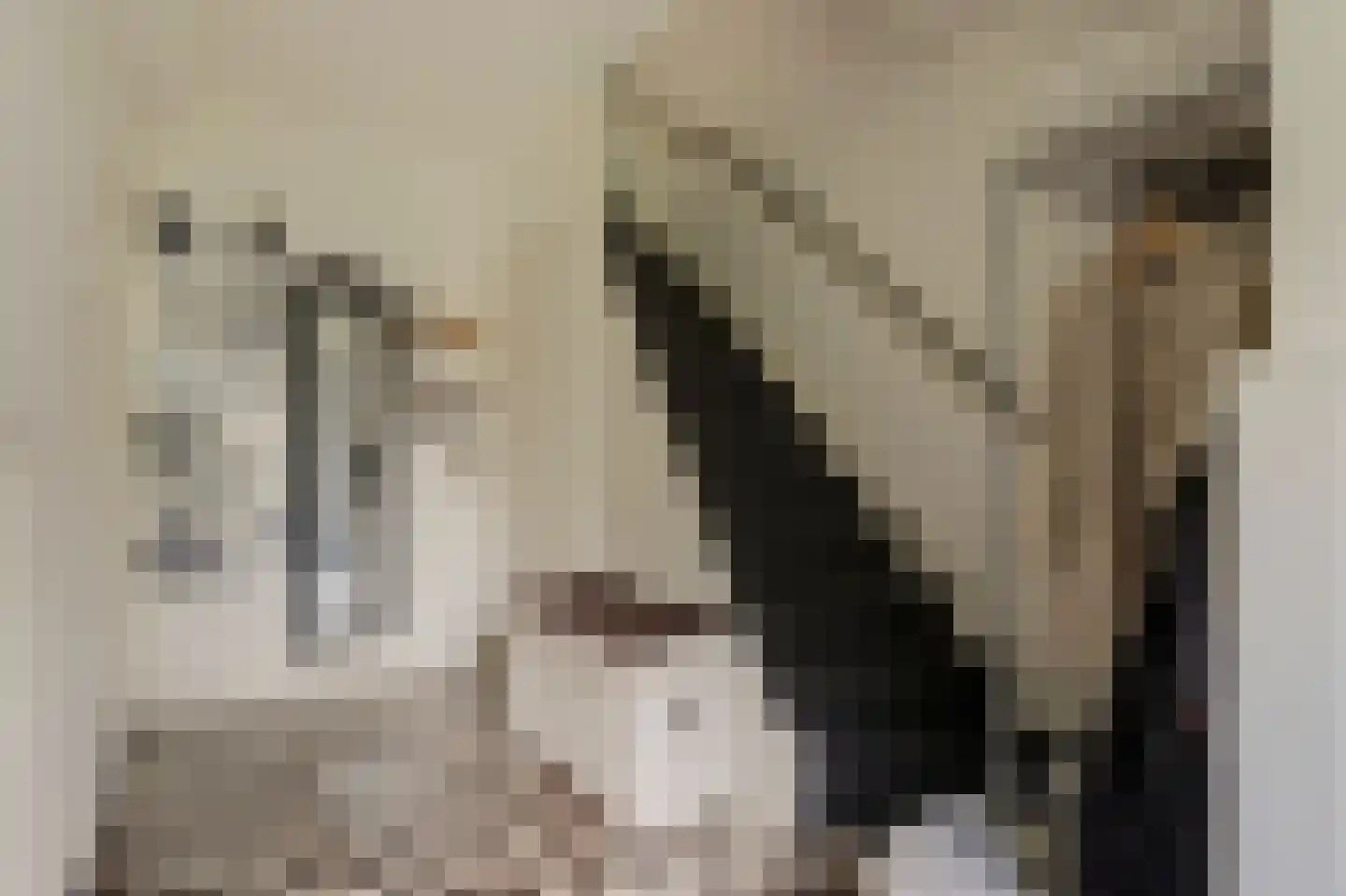 Van der Helmstraat 421 Rotterdam thumbnail 21