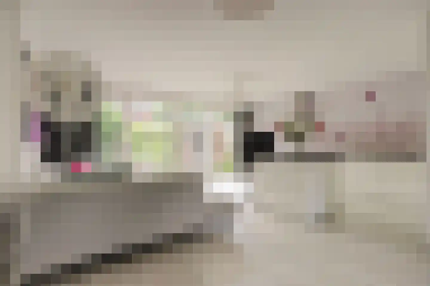 Van der Helmstraat 421 Rotterdam thumbnail 7