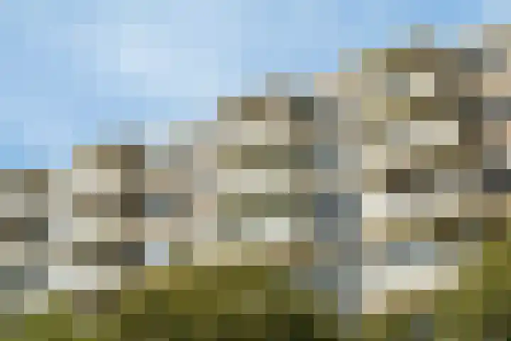 Van der Helmstraat 448 Rotterdam thumbnail 36