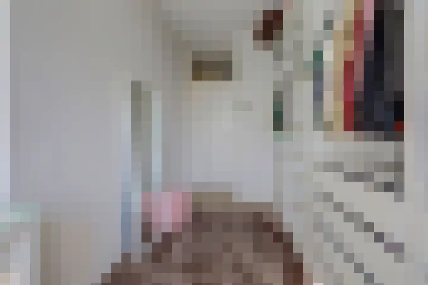 Van der Helmstraat 450 Rotterdam thumbnail 22