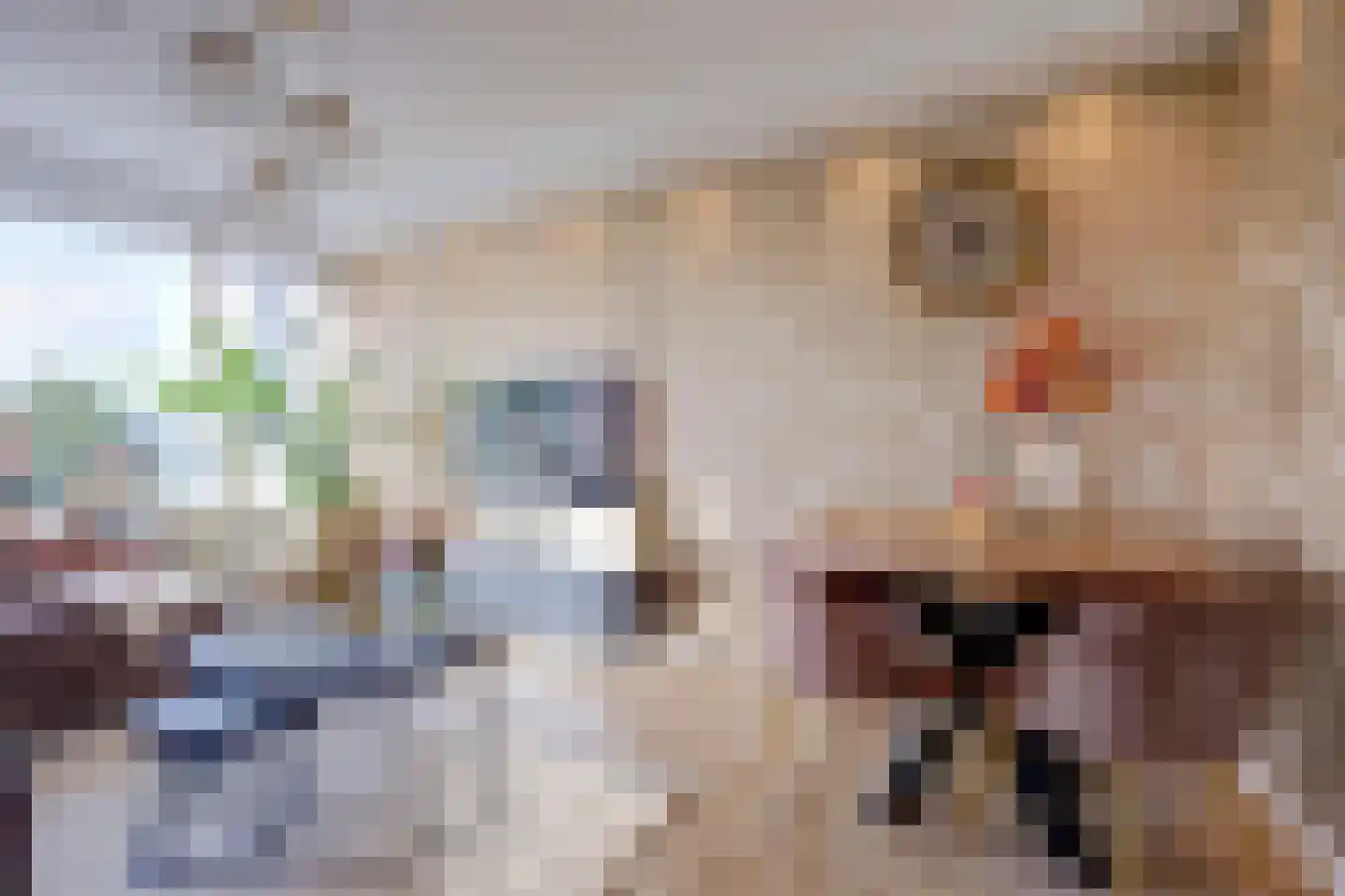 Van der Helmstraat 450 Rotterdam thumbnail 5