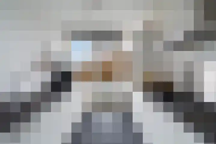 Van der Helmstraat 476 Rotterdam thumbnail 4