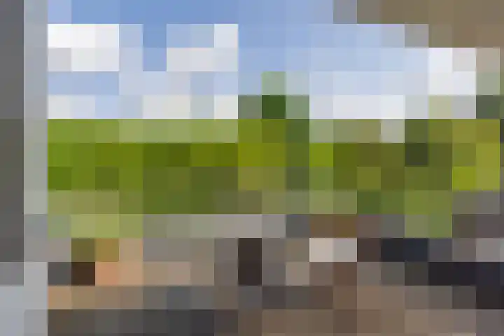 van der Helstlaan 13 Naarden thumbnail 23