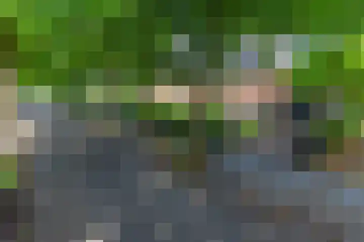 van der Helstlaan 13 Naarden thumbnail 29
