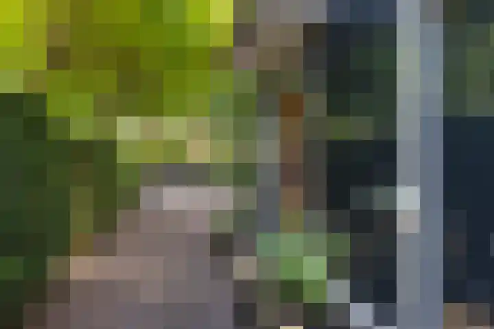 van der Helstlaan 13 Naarden thumbnail 30