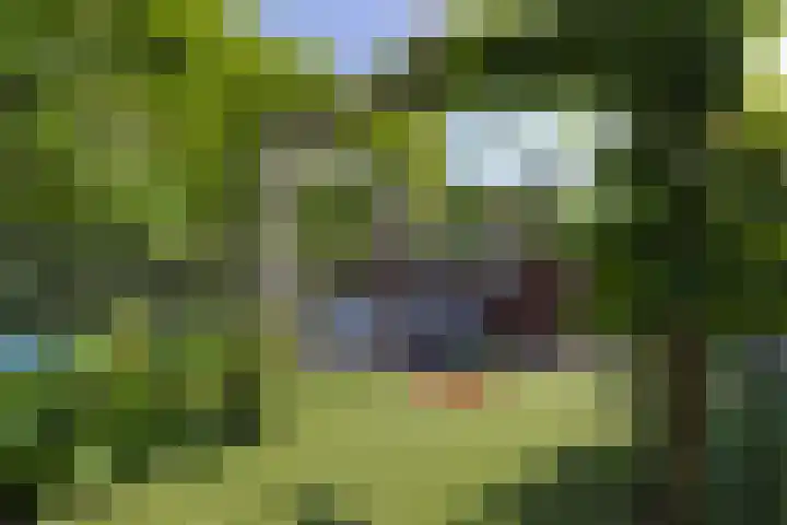 van der Helstlaan 13 Naarden thumbnail 34