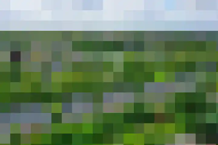 van der Helstlaan 13 Naarden thumbnail 37