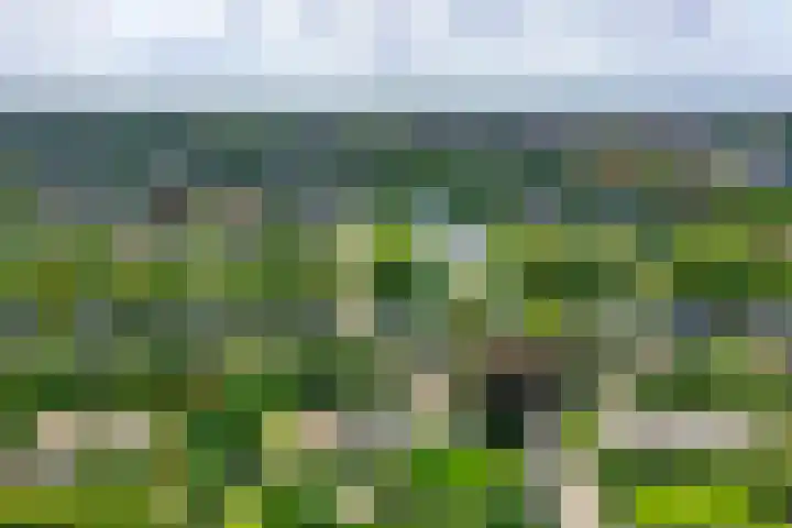 van der Helstlaan 13 Naarden thumbnail 38