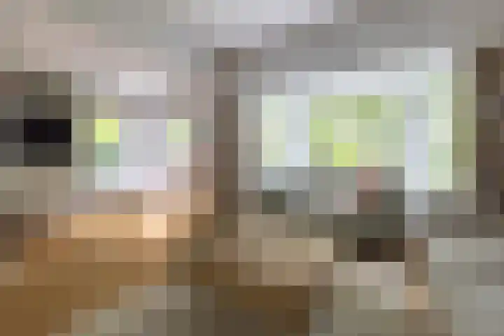 van der Helstlaan 13 Naarden thumbnail 4