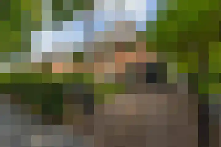 van der Helstlaan 13 Naarden thumbnail 45