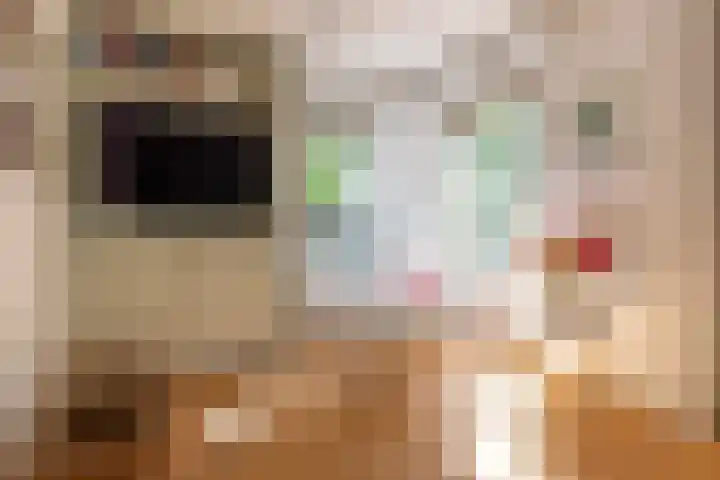 van der Helstlaan 13 Naarden thumbnail 6