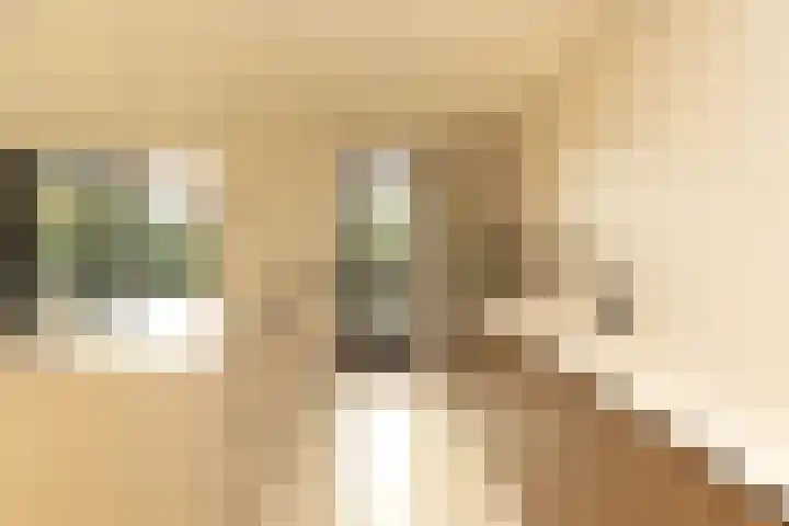 van der Helstlaan 14 Naarden thumbnail 17