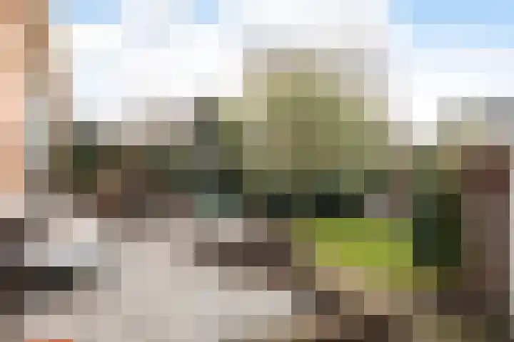 van der Helstlaan 14 Naarden thumbnail 35